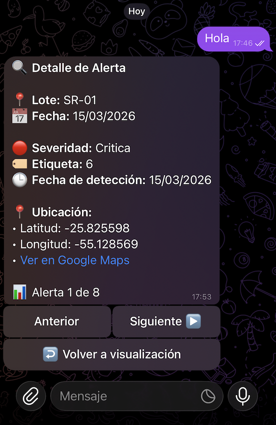 Detalle de alerta con coordenadas y Google Maps