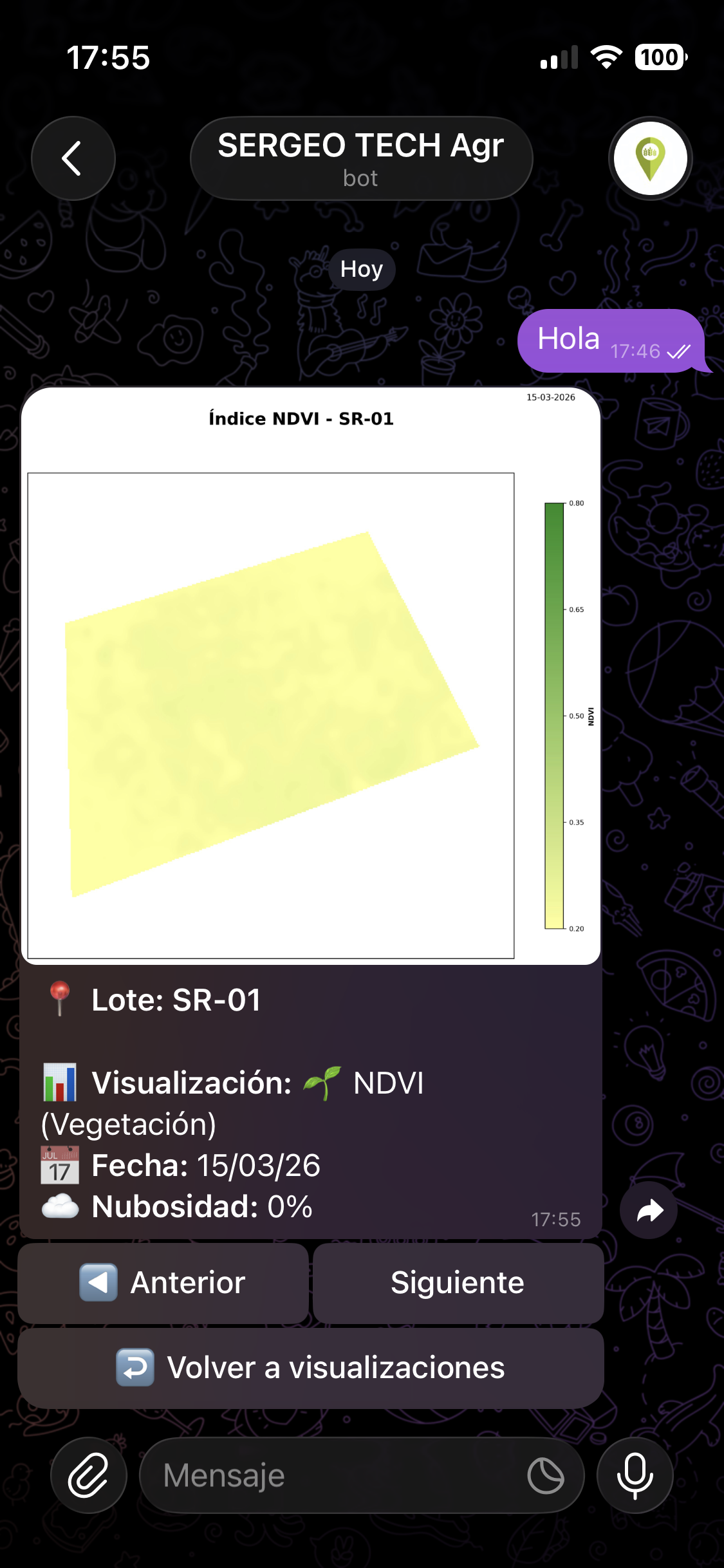Índice NDVI del lote SR-01