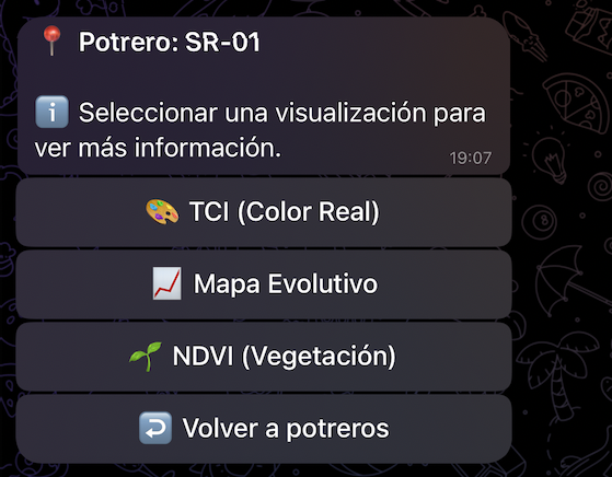 Selección de tipo de visualización: TCI, Evolutivo, NDVI